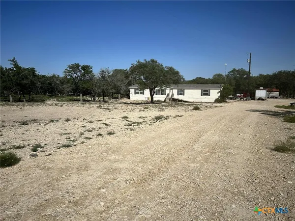 a view of a yard with a tree