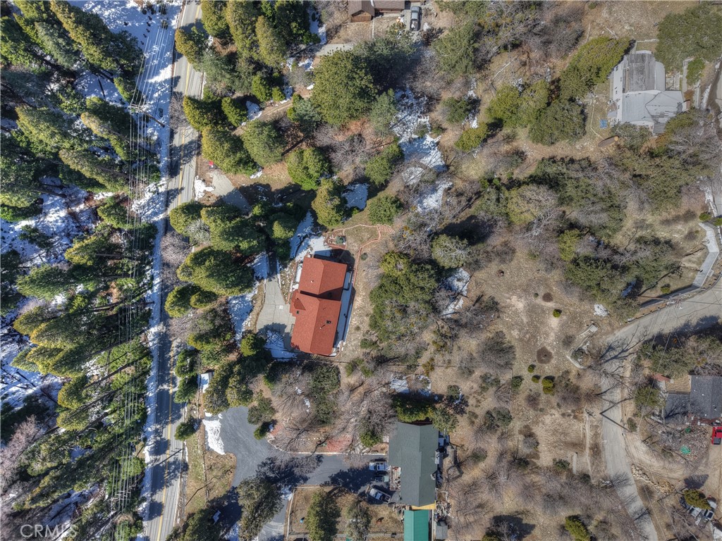 29388 Hook Creek Road Cedar Glen, CA 92321 - Photo 26 of 70 Aerial drone photo