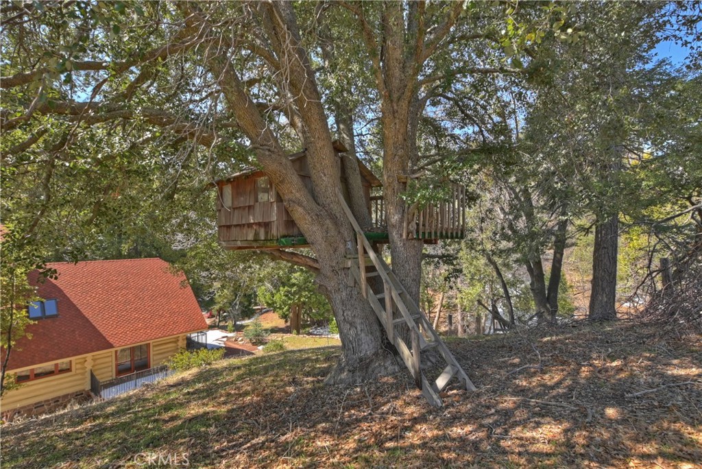 29388 Hook Creek Road Cedar Glen, CA 92321 - Photo 59 of 70