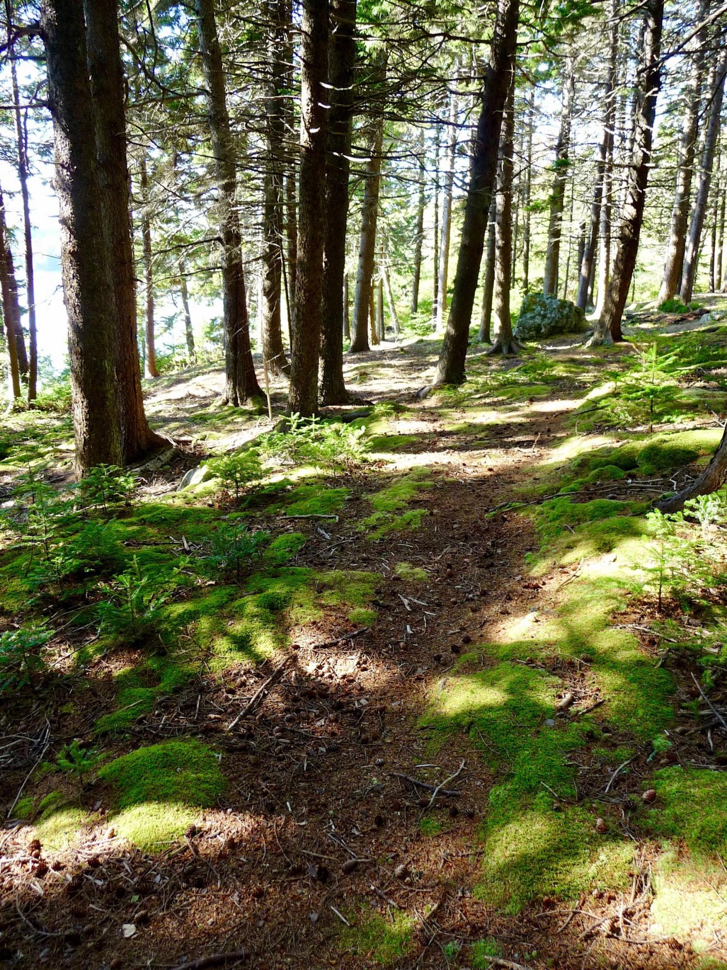 42 Bass Road Bernard, ME 04612 - Photo 32 of 37 W32-ME1668_32_CC.jpg