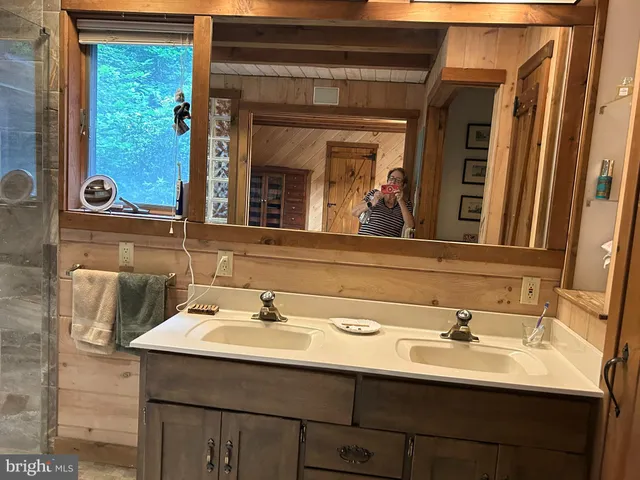 a view of a forest with a tree