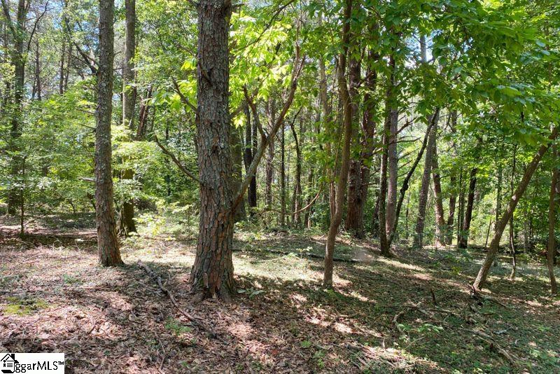 Gap Creek Road Lyman, SC 29365 - Photo 3 of 8