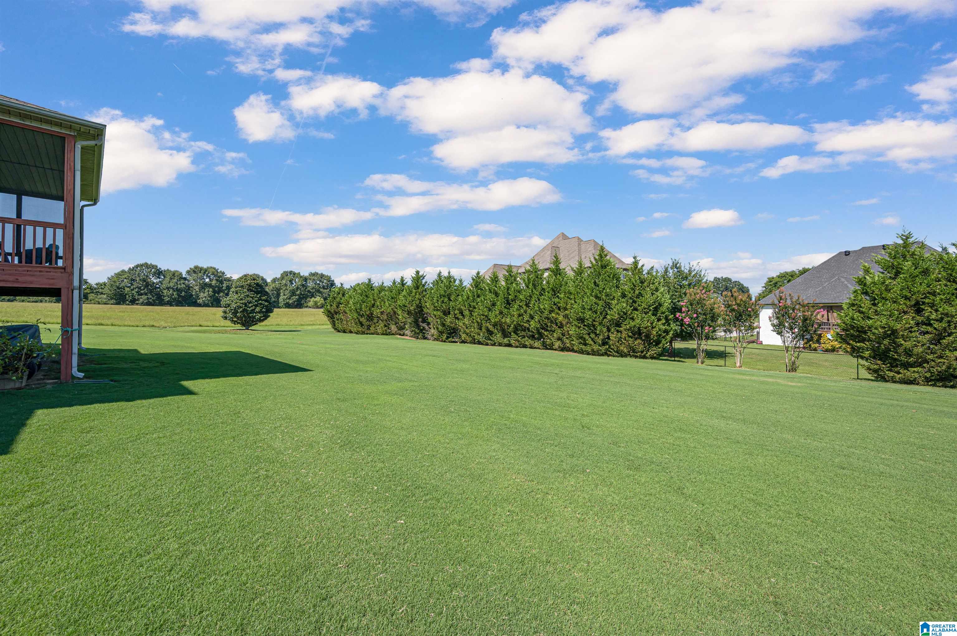 7972 Overbrook Parkway Morris, AL 35116 - Photo 41 of 47