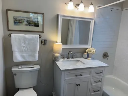 a view of a yard with large tree