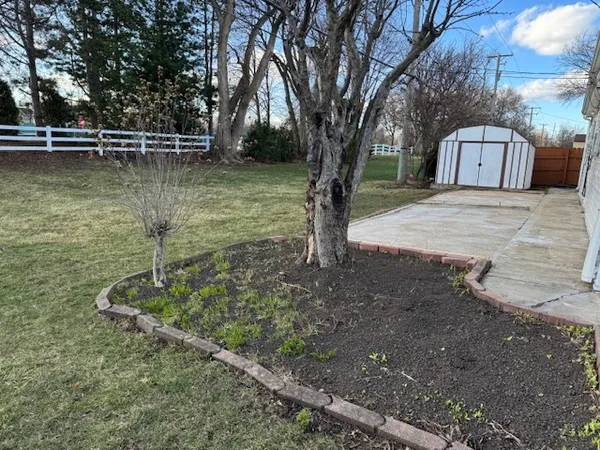a view of a yard with large tree