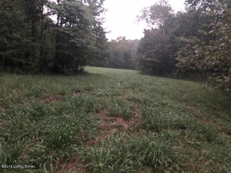 398 Watson Road Payneville, KY 40157 - Photo 6 of 12 IMG_0631
