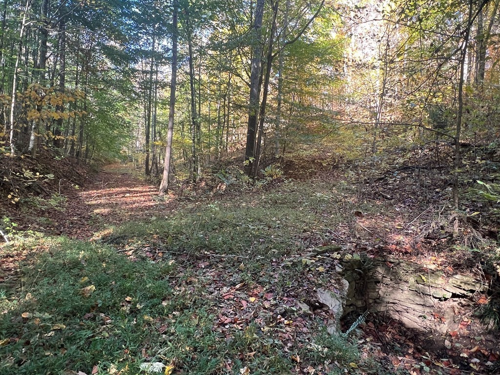 0 Manning Hollow Road Sevierville, TN 37876 - Photo 11 of 14