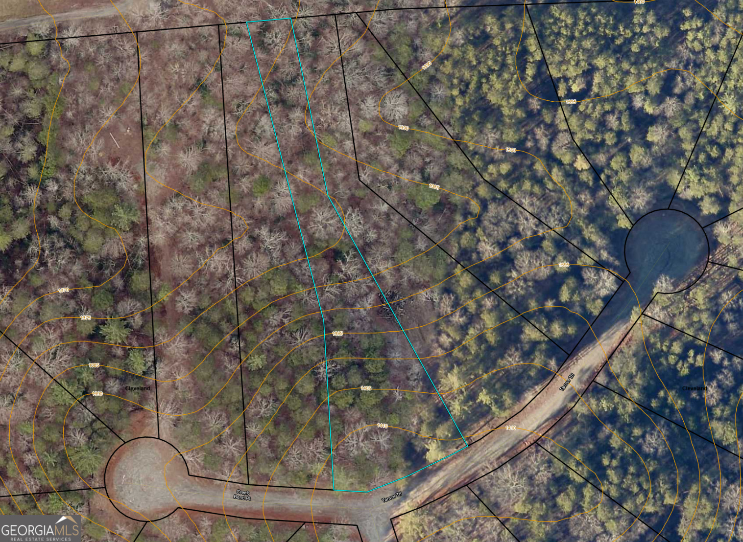 9 Tanvor Trail Cleveland, GA 30528 - Photo 30 of 37 a picture of a tree