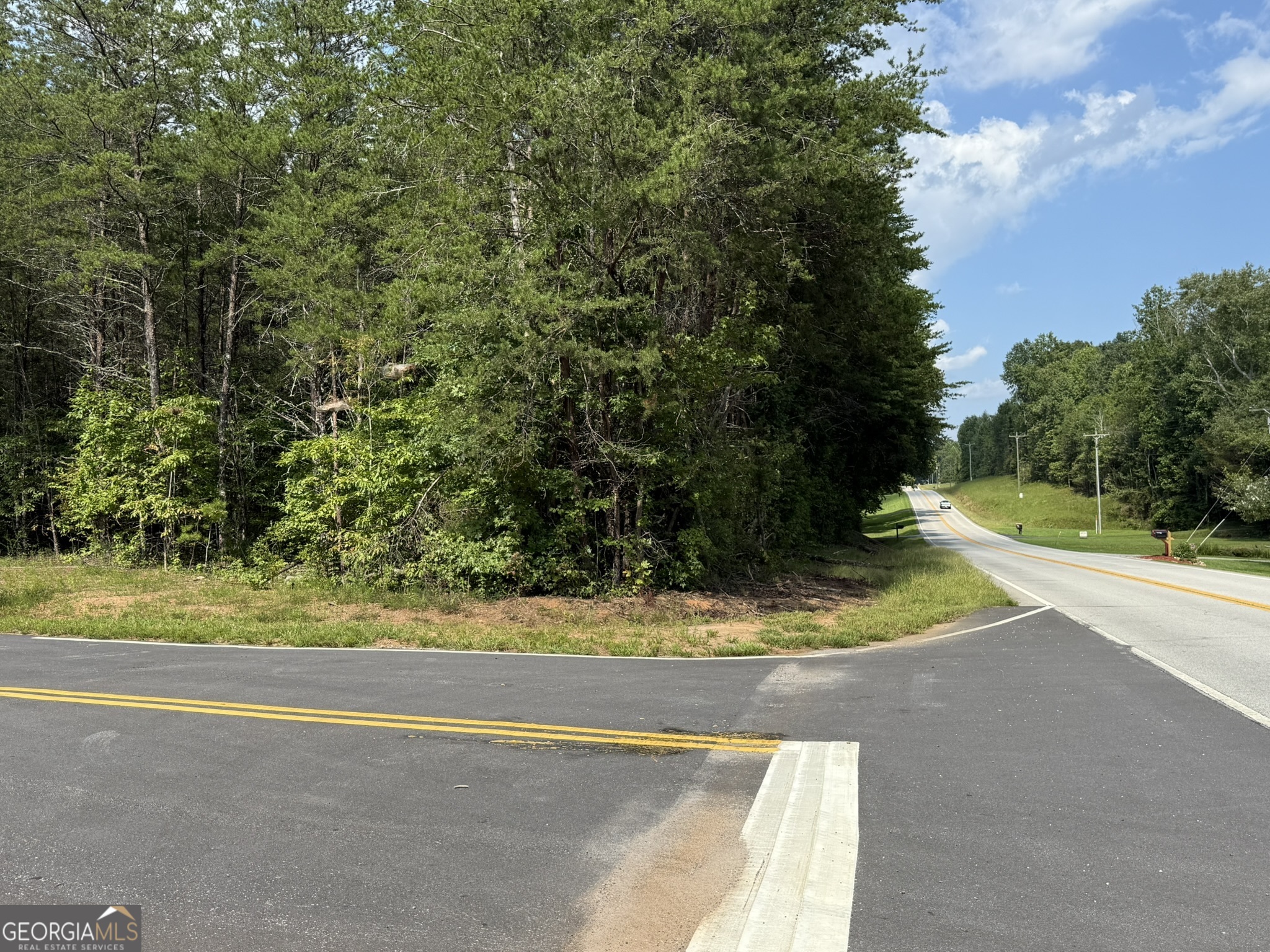 9 Tanvor Trail Cleveland, GA 30528 - Photo 31 of 37 a view of a yard with a house