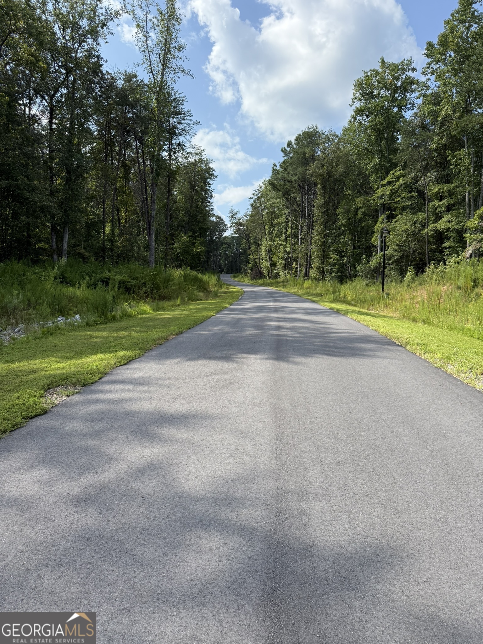 9 Tanvor Trail Cleveland, GA 30528 - Photo 33 of 37 a view of a park