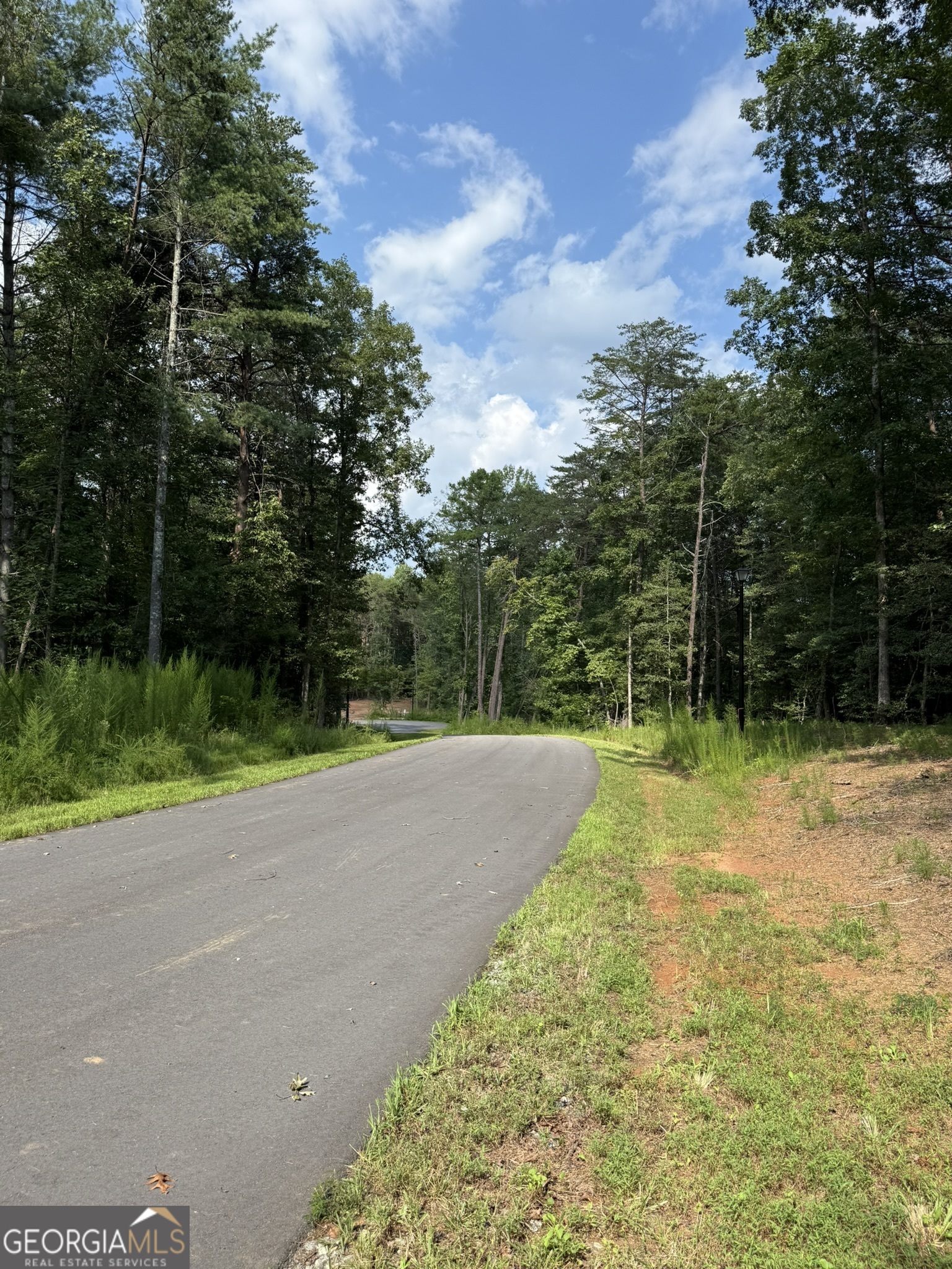 9 Tanvor Trail Cleveland, GA 30528 - Photo 35 of 37 a view of a yard with plants and a trees