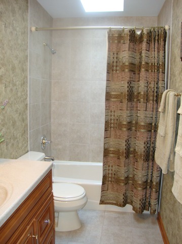 1234 Fagan Road Batavia, IL 60510 - Photo 14 of 25 a bathroom with a sink a toilet and shower