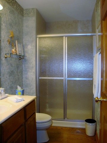1234 Fagan Road Batavia, IL 60510 - Photo 16 of 25 a bathroom with a sink toilet and shower