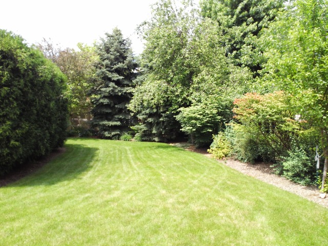 1234 Fagan Road Batavia, IL 60510 - Photo 24 of 25 a view of yard with green space