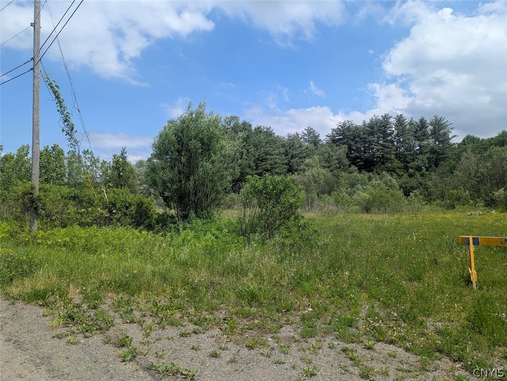 Tannery Road Rome, NY 13440 - Photo 3 of 4