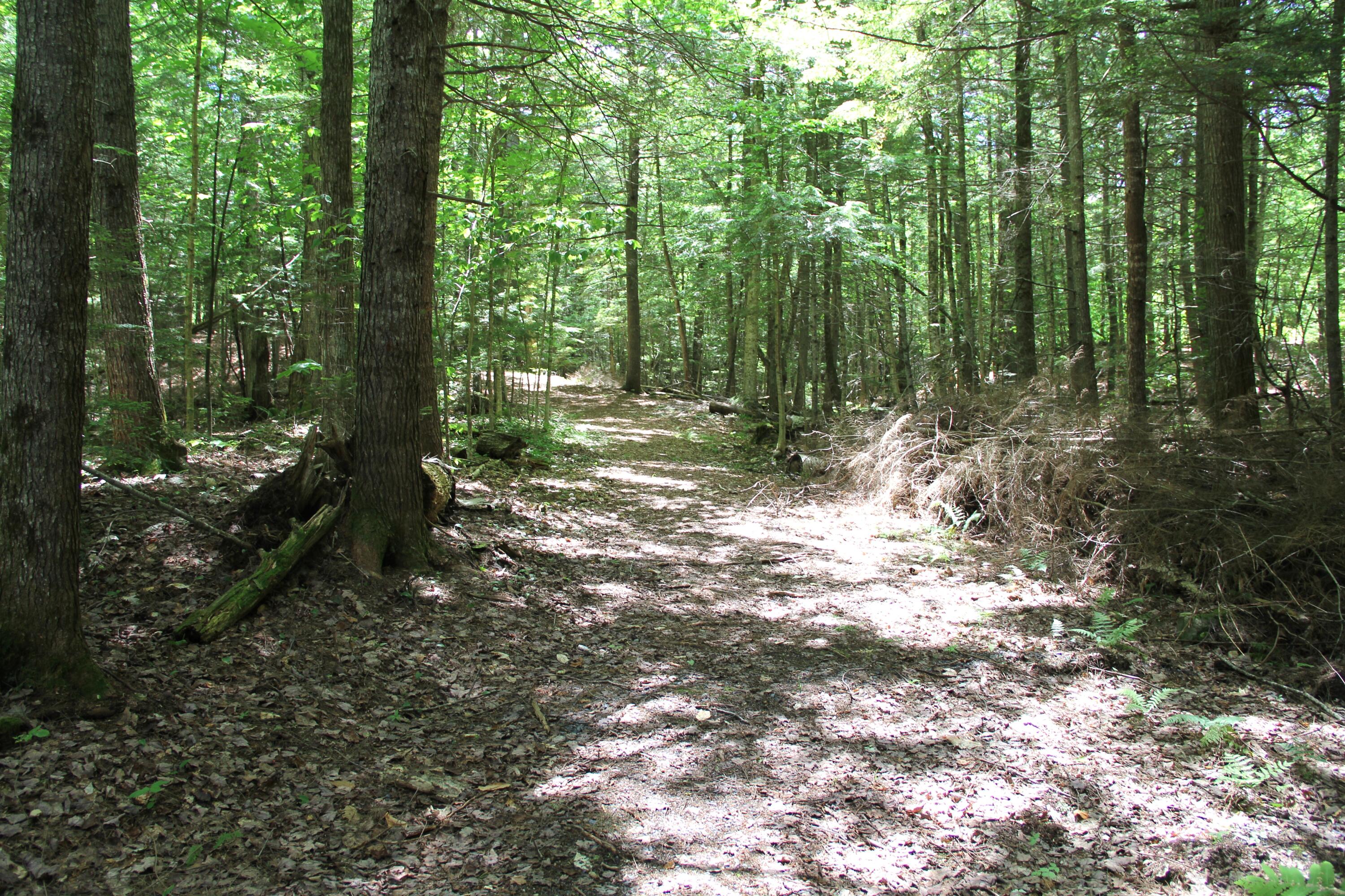 Lot 41 Salmon Road Madison, ME 04950 - Photo 2 of 6