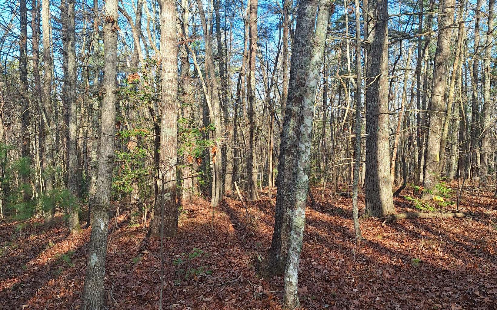 6.7 A Lickskillet Road Epworth, GA 30541 - Photo 4 of 6 Additional View