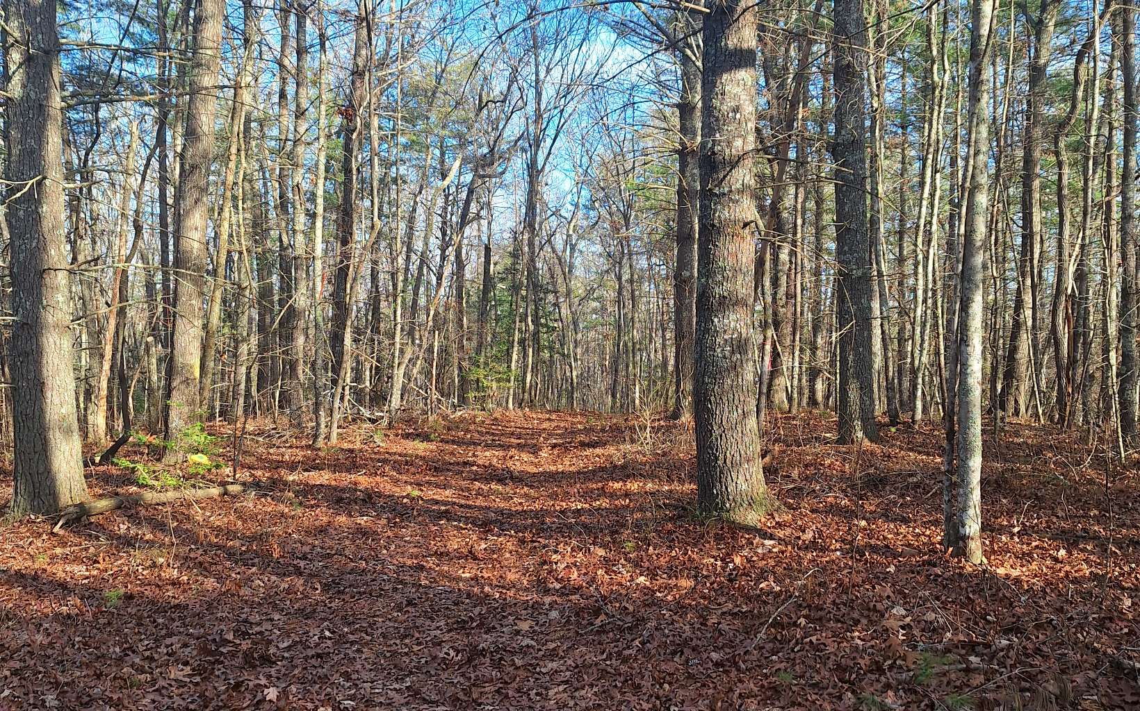 6.7 A Lickskillet Road Epworth, GA 30541 - Photo 6 of 6 Additional View