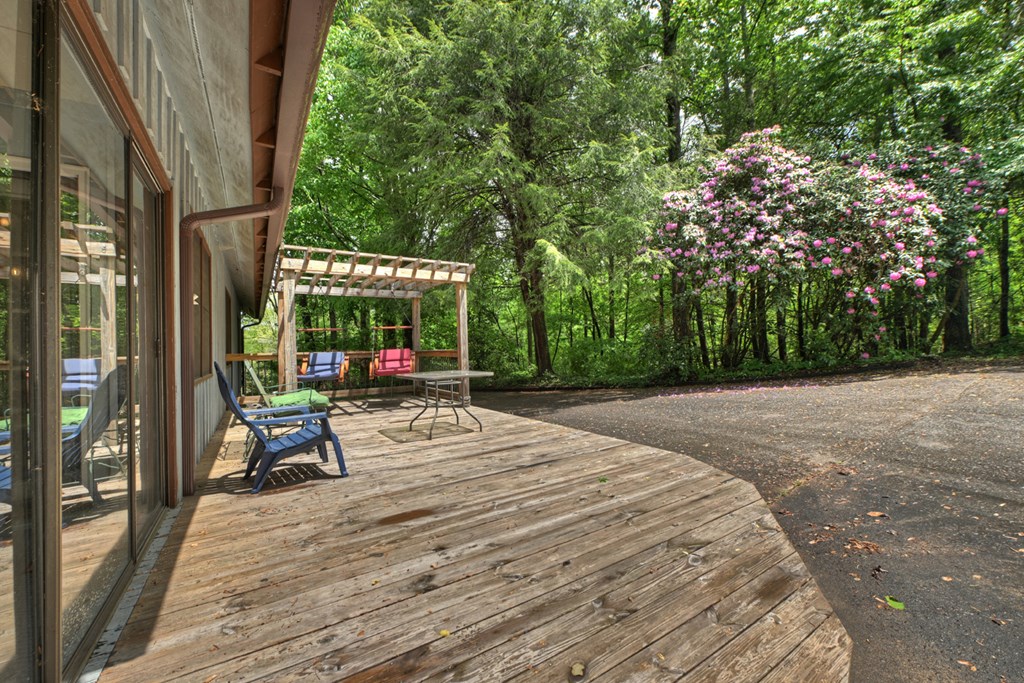 47 Harris Drive Blue Ridge, GA 30513 - Photo 33 of 56