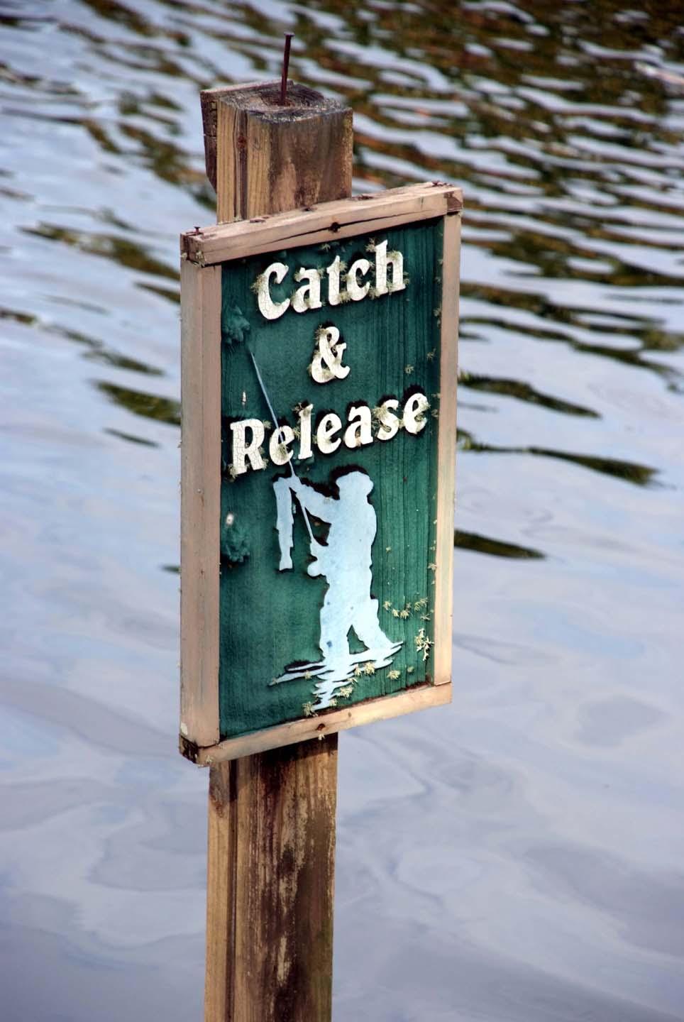 5073 Beachwalk Way Miramar Beach, FL 32550 - Photo 55 of 61 a view of a window of a building