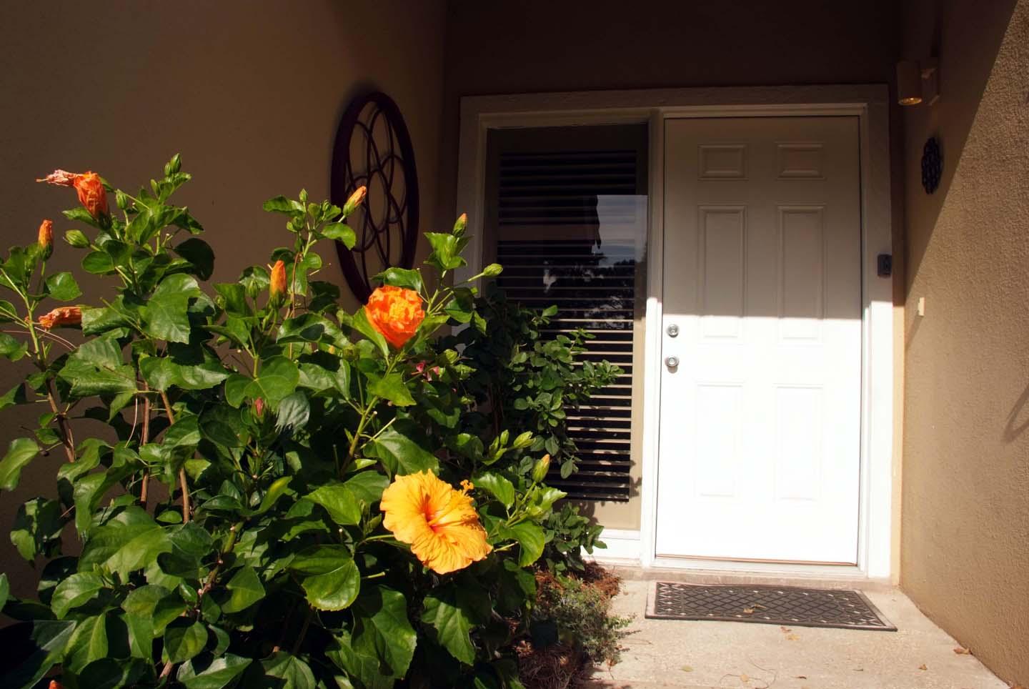 5073 Beachwalk Way Miramar Beach, FL 32550 - Photo 8 of 61 Front Door