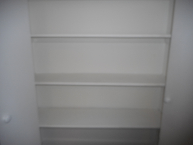 1860 Ashley Road Hoffman Estates, IL 60169 - Photo 7 of 27 a close view of closet