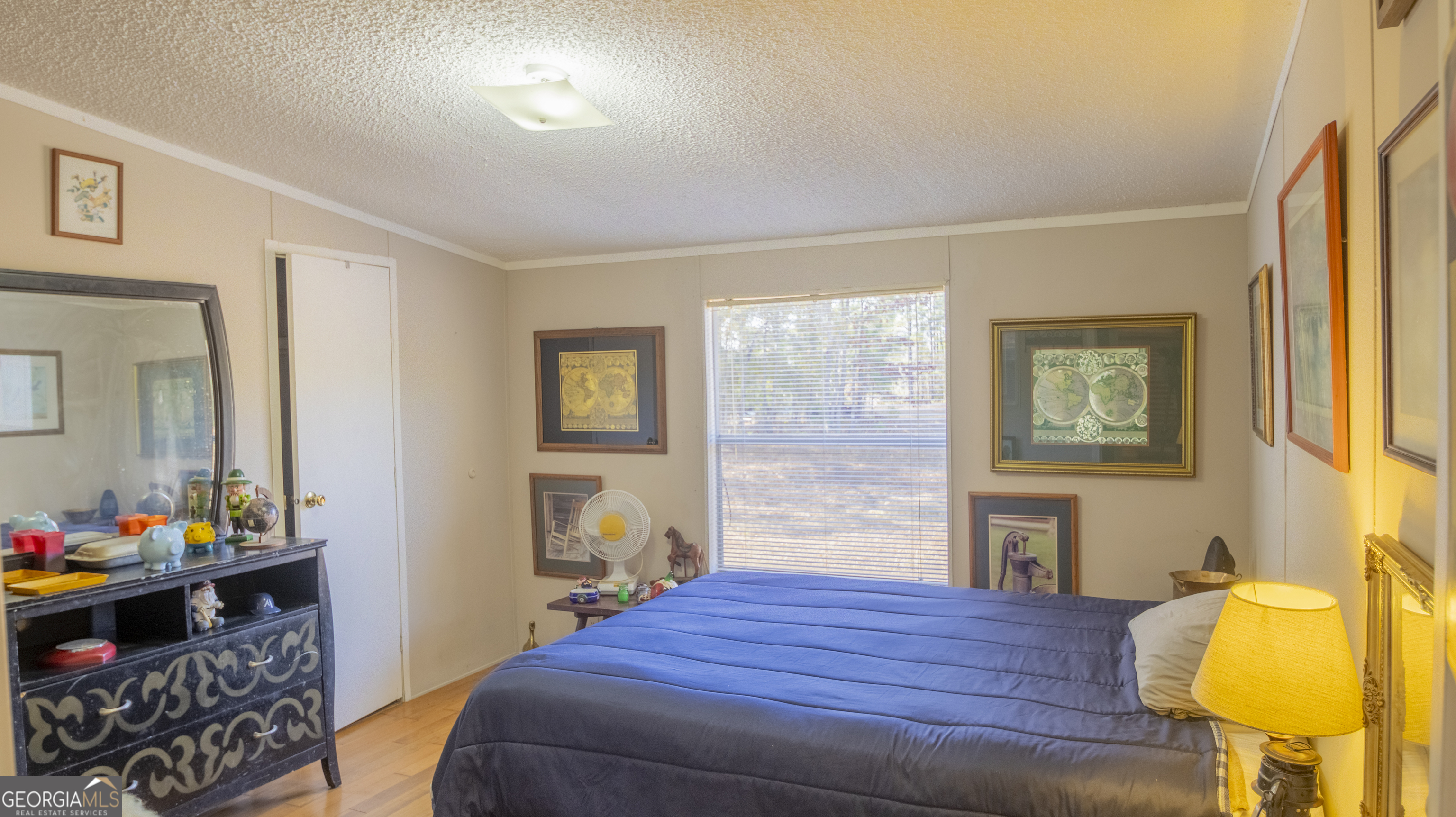 2717 Mount Pilgrim Road Greenville, GA 30222 - Photo 29 of 65 a bedroom with a bed and dresser with mirror