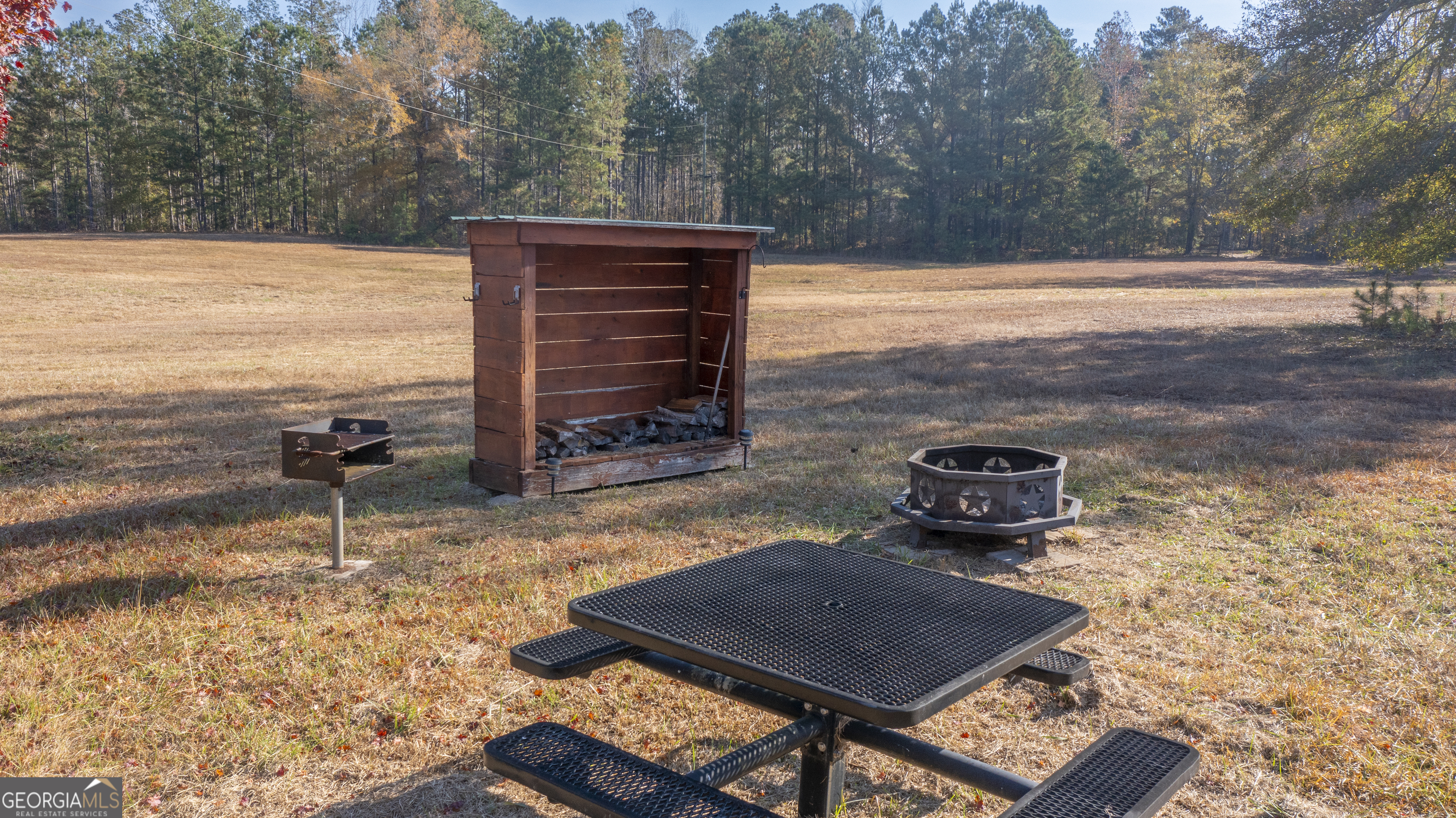 2717 Mount Pilgrim Road Greenville, GA 30222 - Photo 42 of 65 a view of a backyard with sitting area