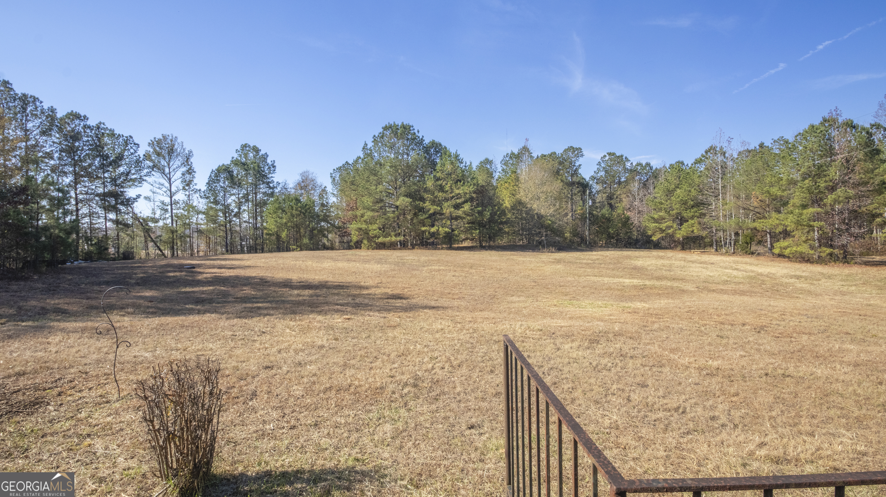 2717 Mount Pilgrim Road Greenville, GA 30222 - Photo 51 of 65