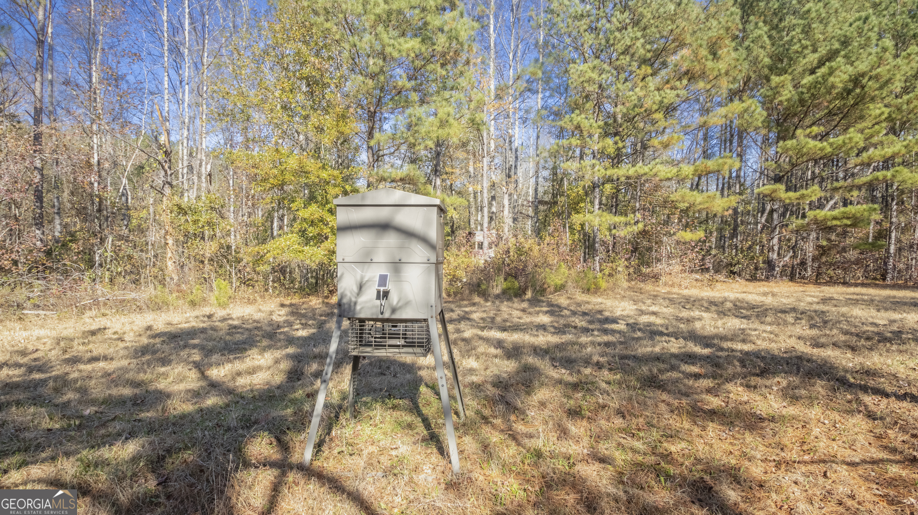 2717 Mount Pilgrim Road Greenville, GA 30222 - Photo 53 of 65