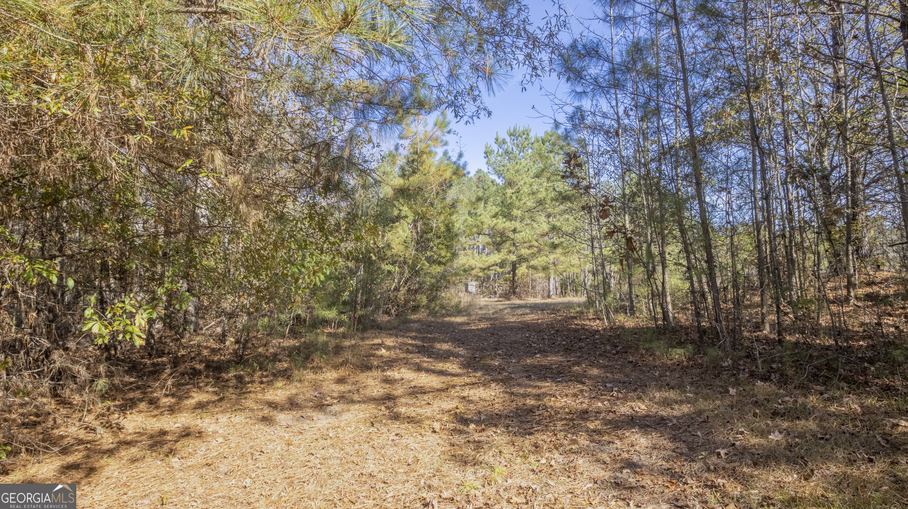 2717 Mount Pilgrim Road Greenville, GA 30222 - Photo 54 of 65