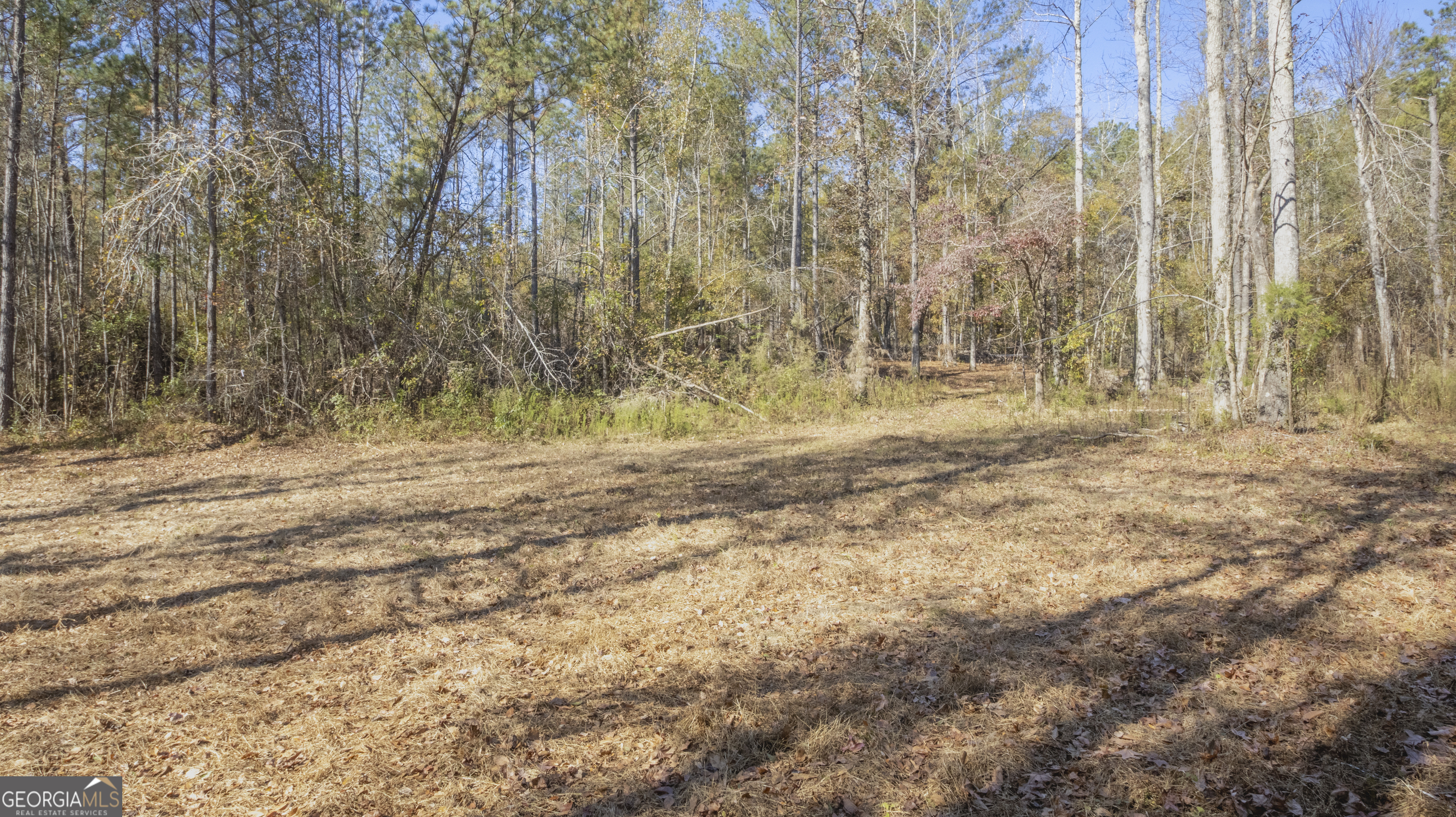 2717 Mount Pilgrim Road Greenville, GA 30222 - Photo 55 of 65 a view of dirt yard with a small barn