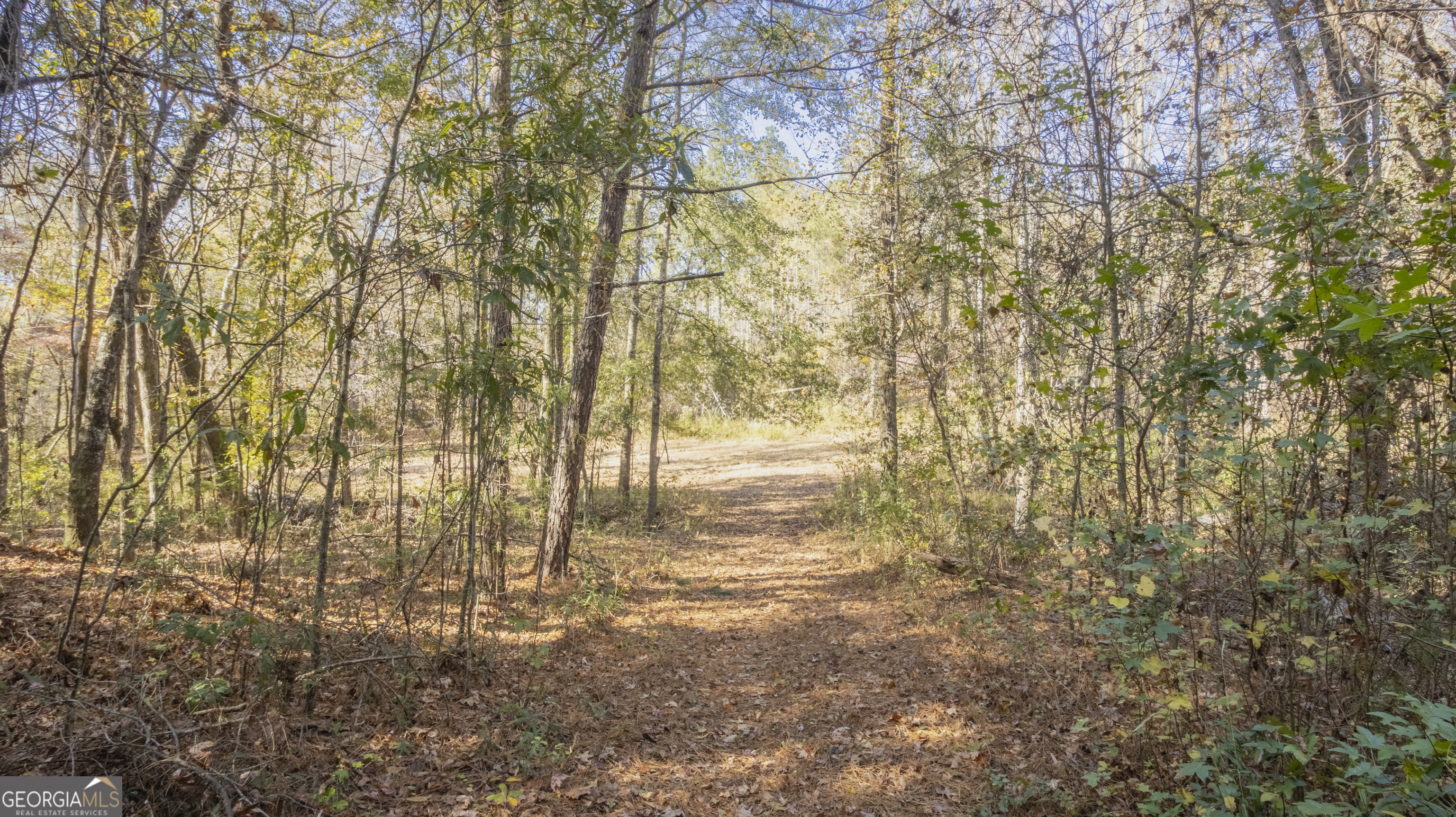 2717 Mount Pilgrim Road Greenville, GA 30222 - Photo 57 of 65 a view of a yard with trees and wooden fence
