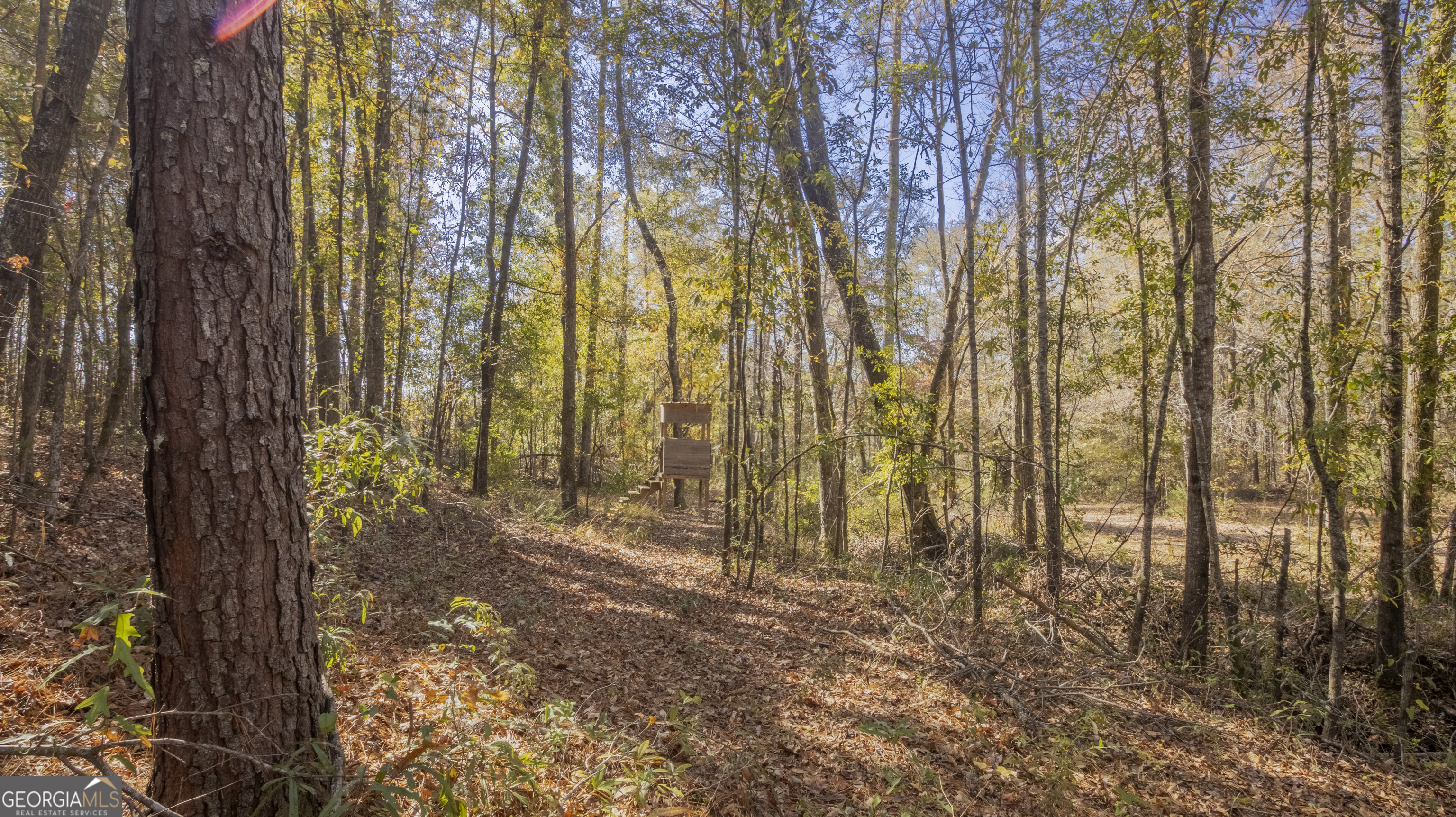 2717 Mount Pilgrim Road Greenville, GA 30222 - Photo 58 of 65