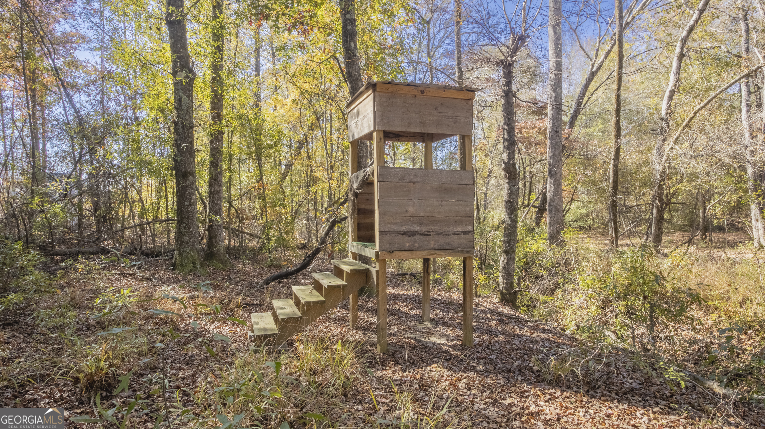 2717 Mount Pilgrim Road Greenville, GA 30222 - Photo 59 of 65 a backyard of a house with table and chairs