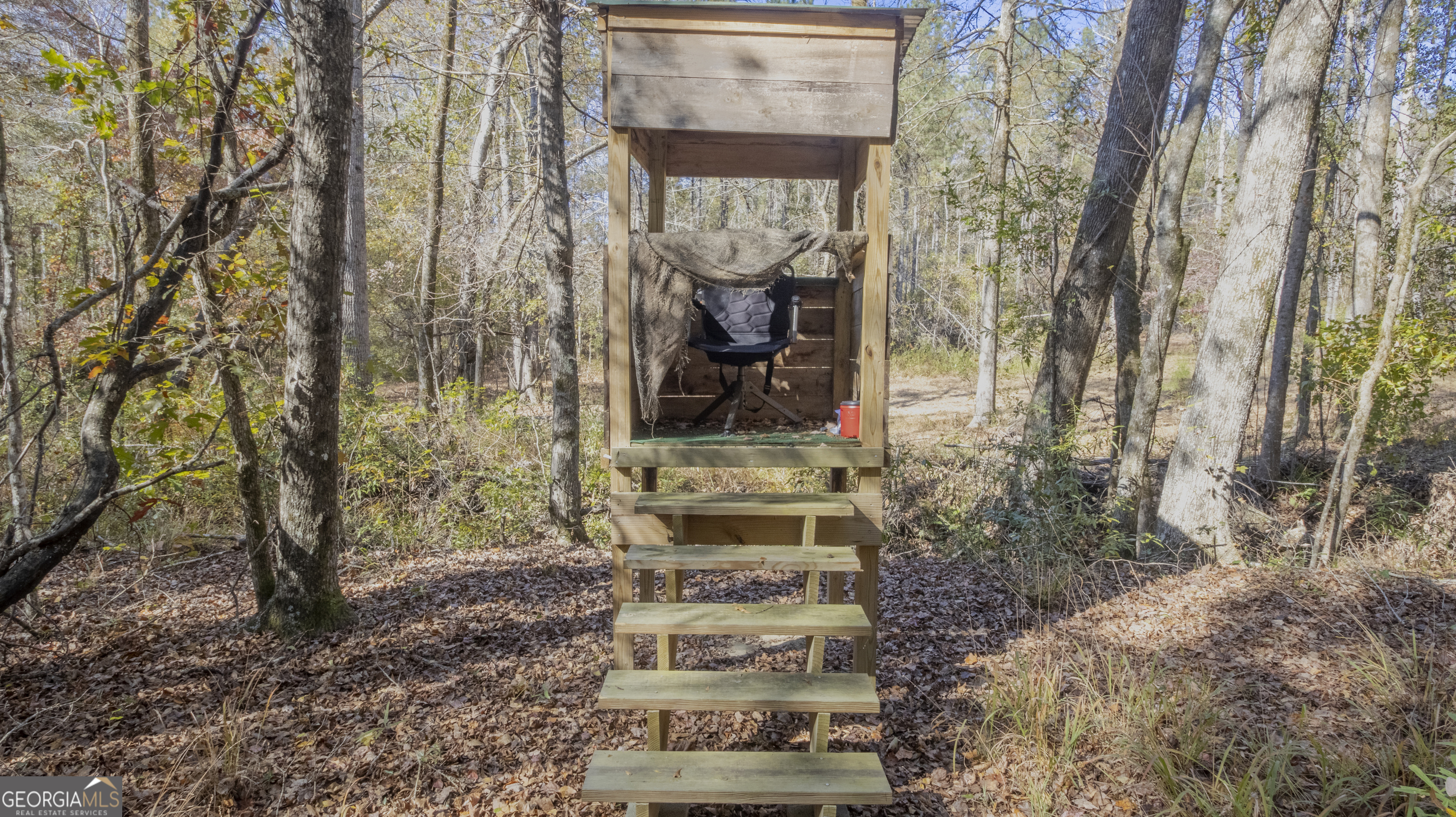 2717 Mount Pilgrim Road Greenville, GA 30222 - Photo 60 of 65 a front view of a house with a yard