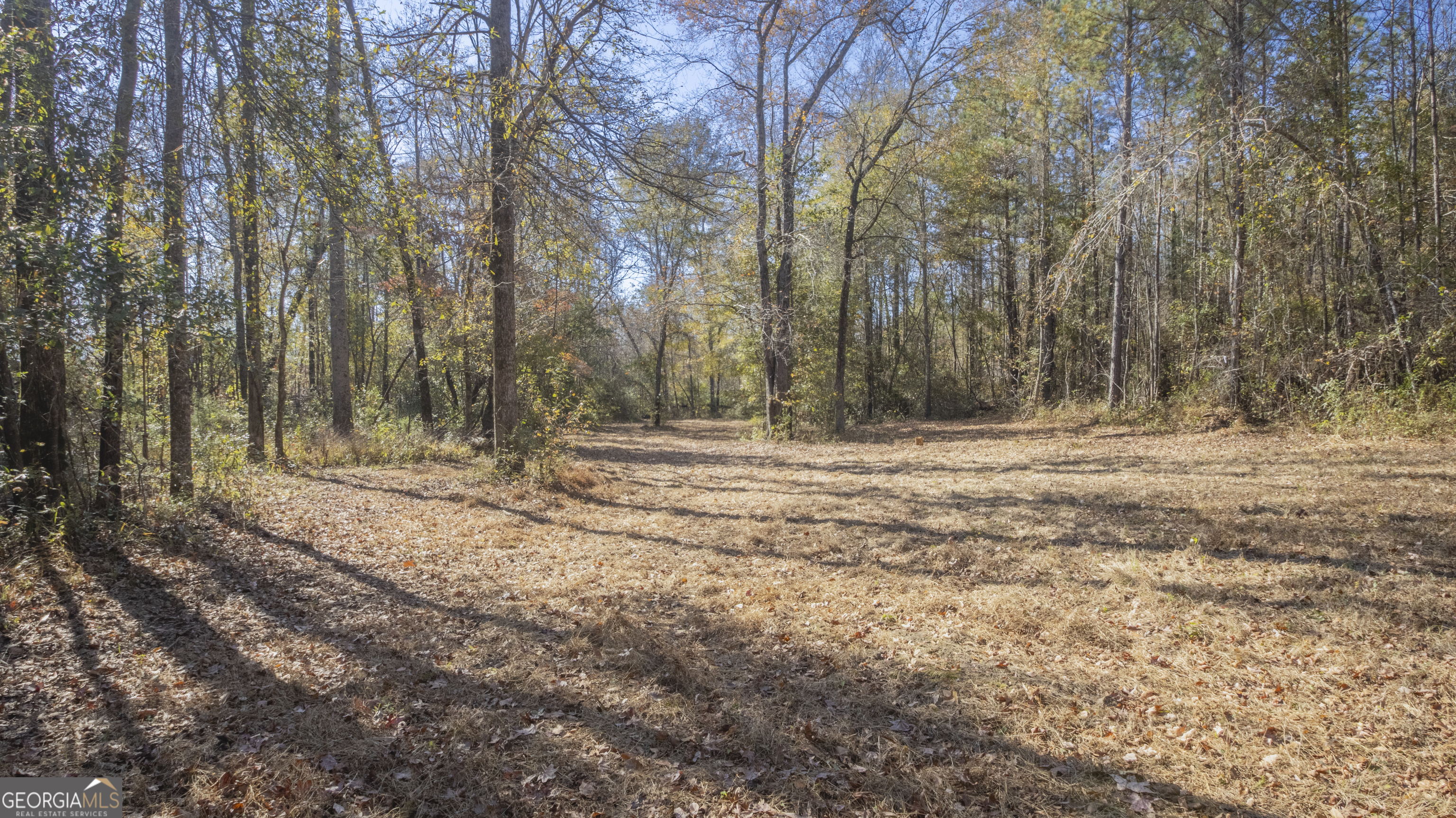 2717 Mount Pilgrim Road Greenville, GA 30222 - Photo 62 of 65 a view of outdoor space with trees