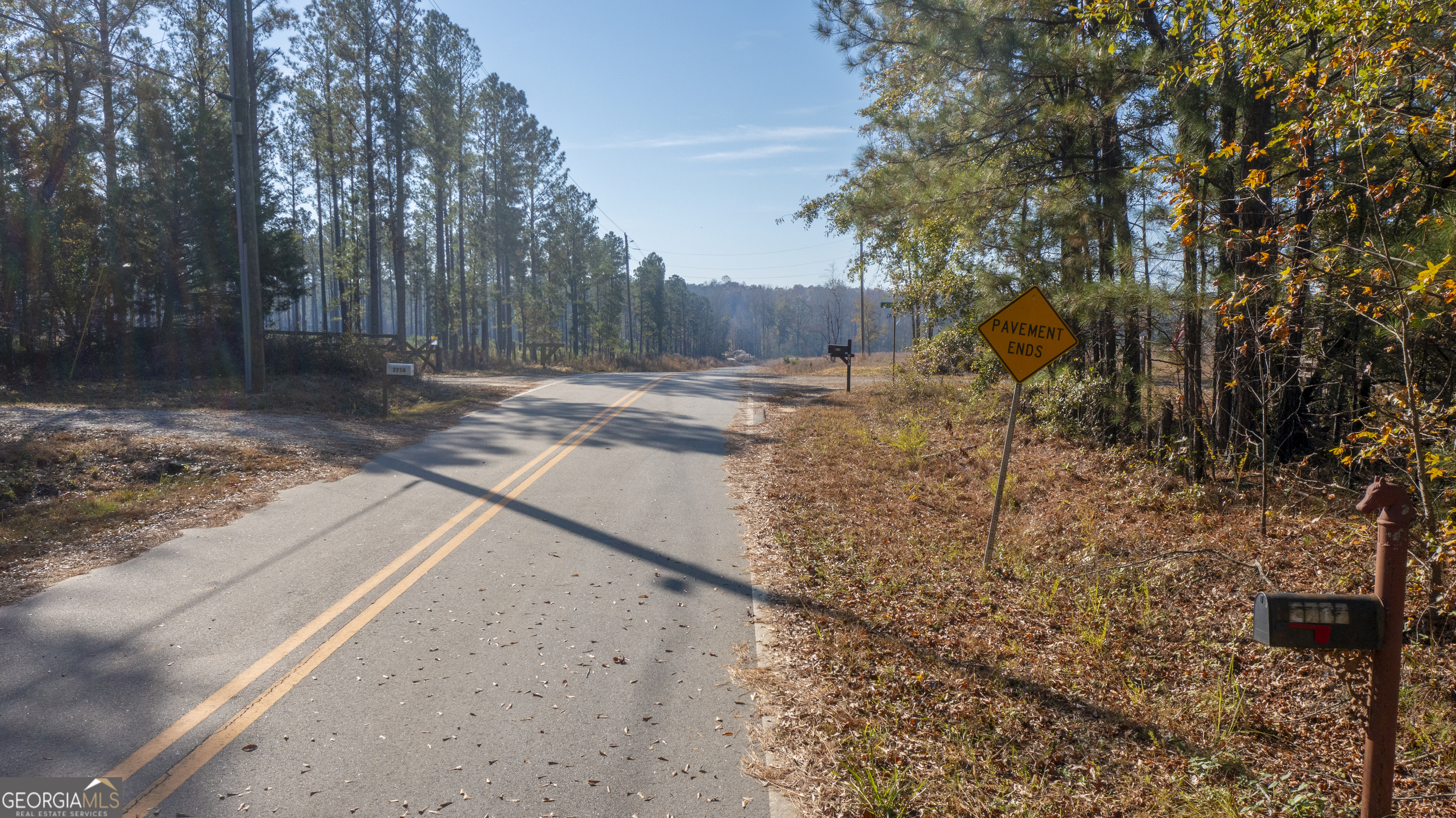 2717 Mount Pilgrim Road Greenville, GA 30222 - Photo 64 of 65 a view of a yard with trees