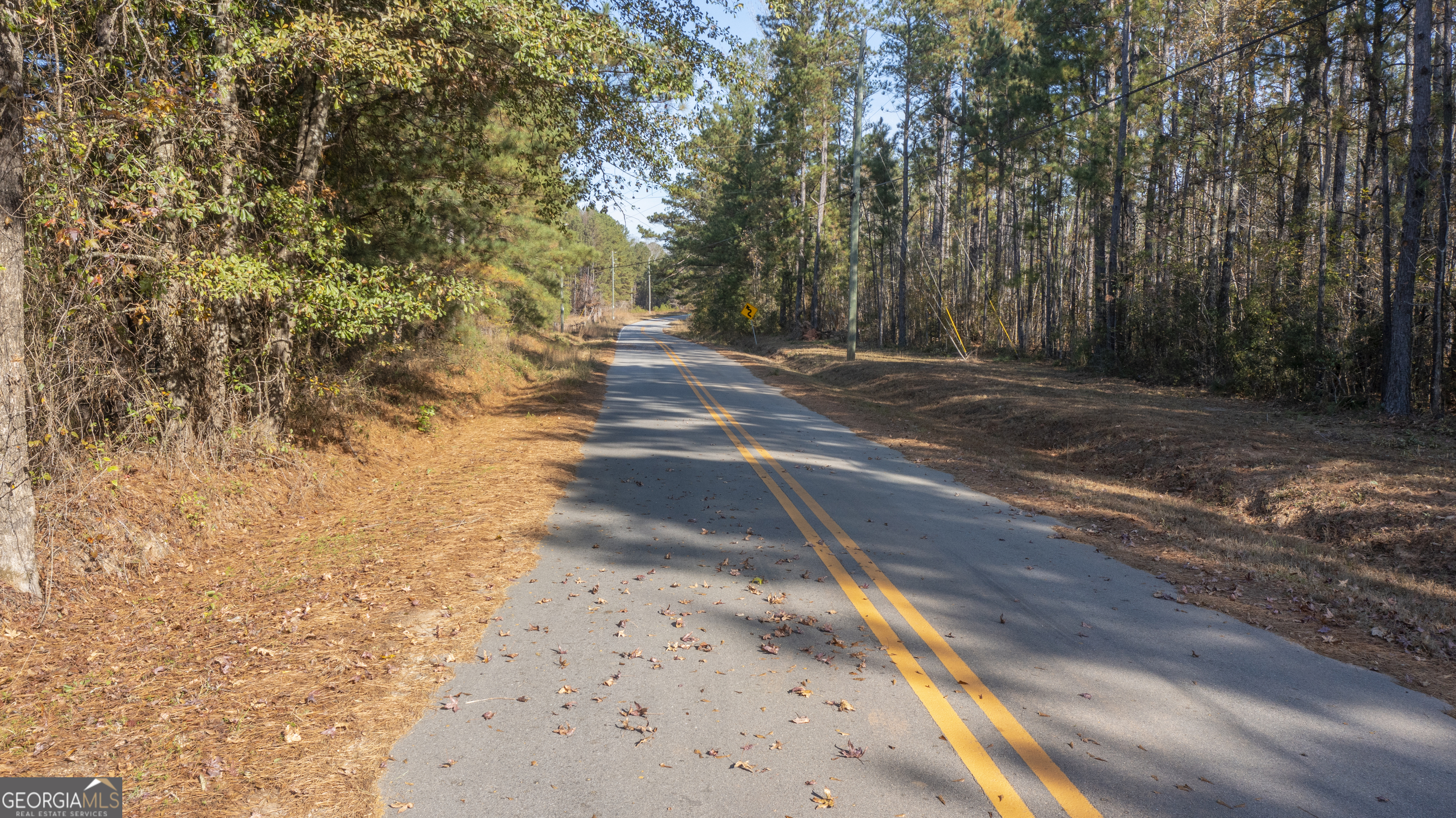 2717 Mount Pilgrim Road Greenville, GA 30222 - Photo 65 of 65 a view of a yard with plants and trees