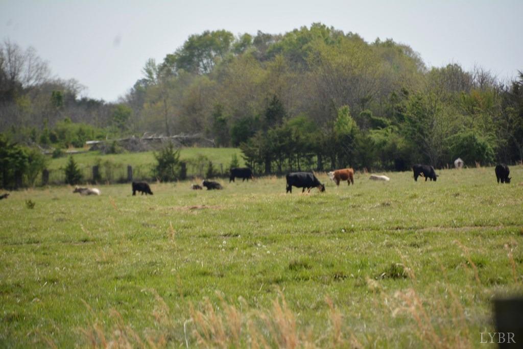 0 Cedar Lane Farmville, VA 23901 - Photo 3 of 13 a view of a town with trees in the background