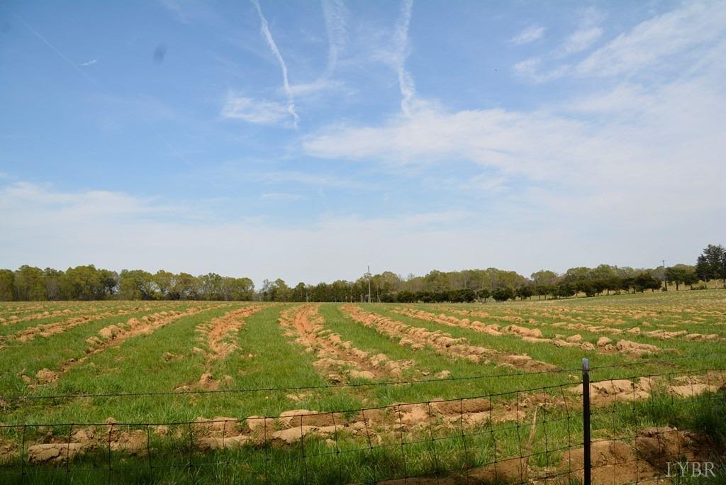 0 Cedar Lane Farmville, VA 23901 - Photo 5 of 13 a view of a lake with houses in big room