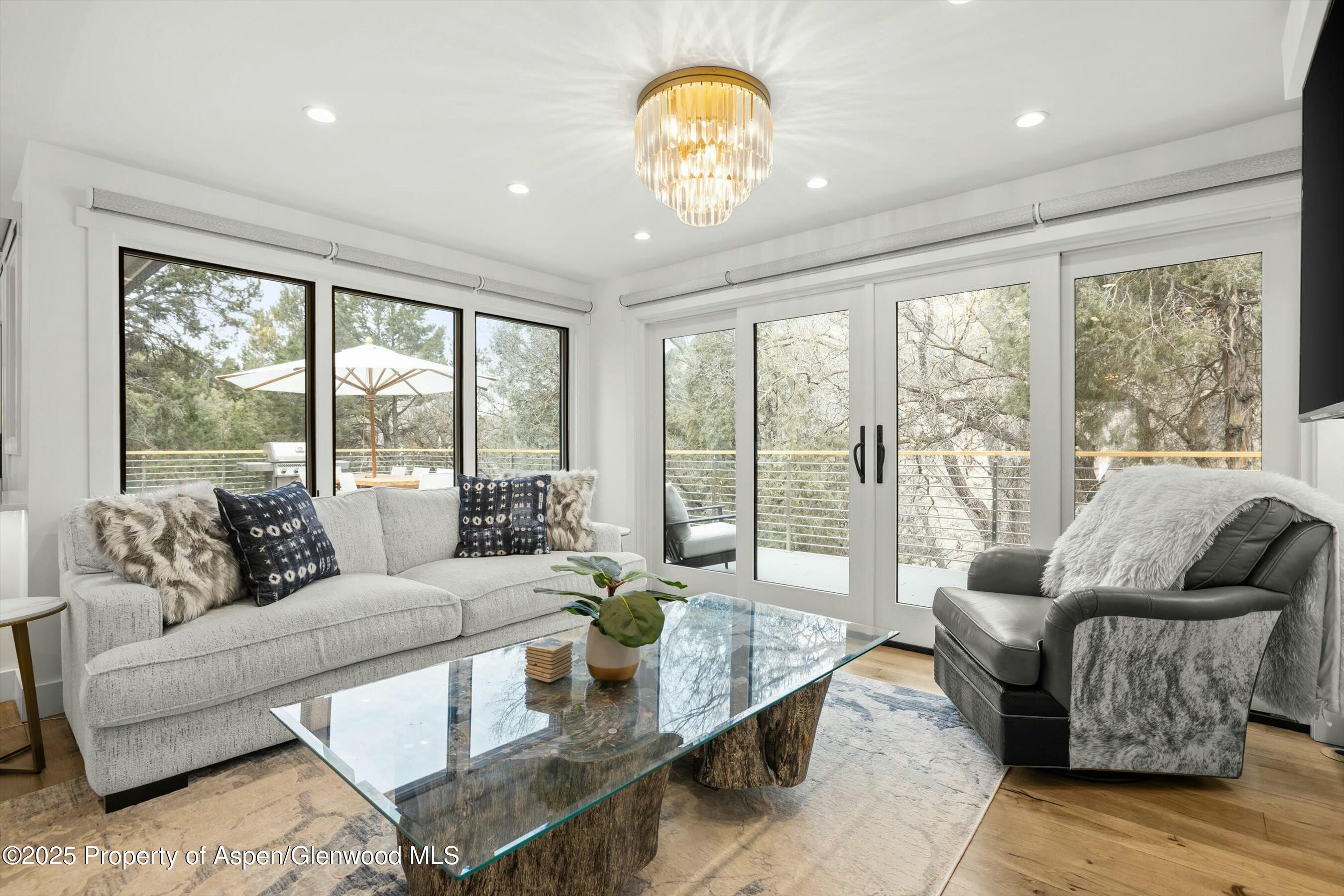 1631 Emma Spur Basalt, CO 81621 - Photo 17 of 52 a living room with furniture and a large window
