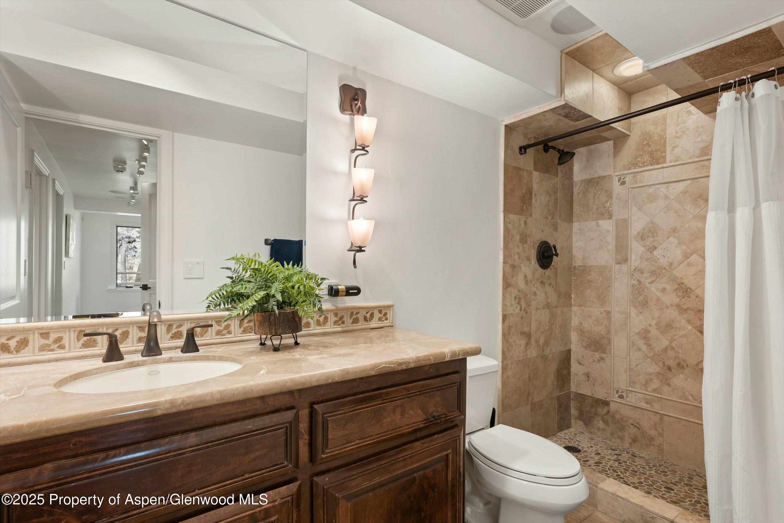 1631 Emma Spur Basalt, CO 81621 - Photo 31 of 52 a bathroom with a sink a toilet and shower