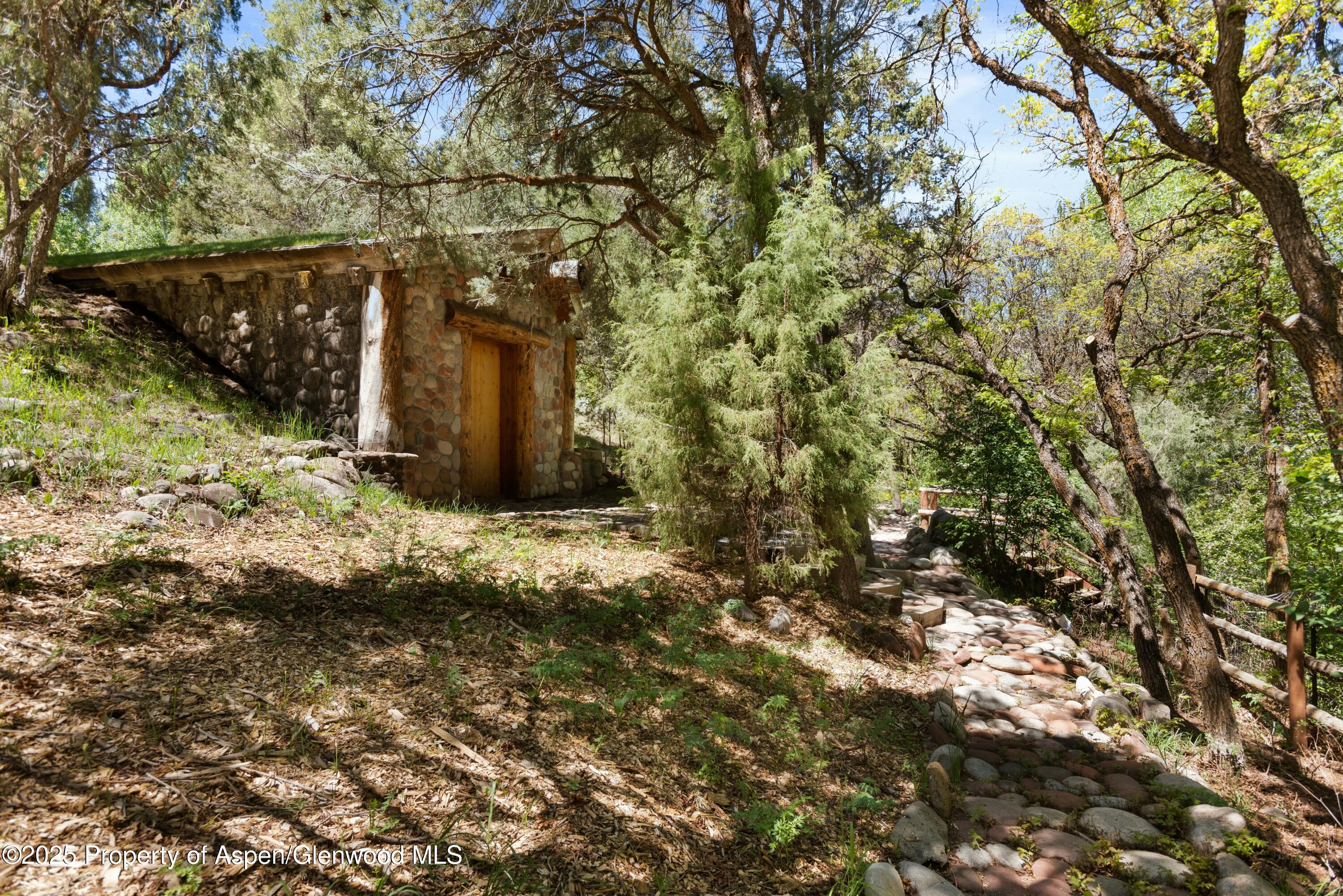 1631 Emma Spur Basalt, CO 81621 - Photo 49 of 52 a view of a yard with plants and trees