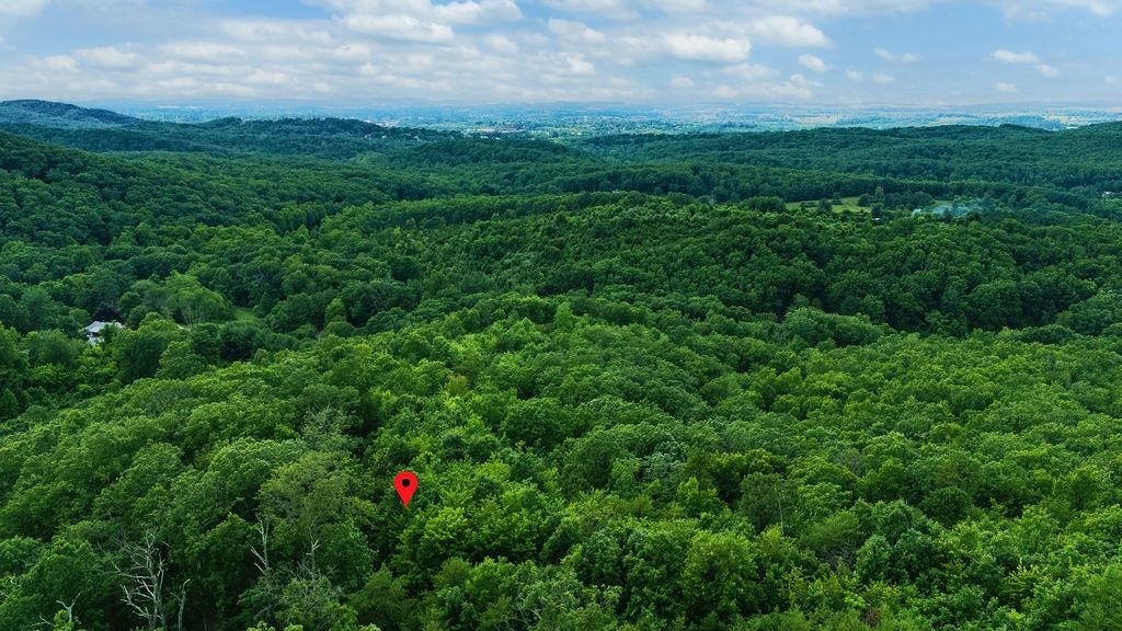 Tbd Calf Mountain Road Waynesboro, VA 22980 - Photo 6 of 36