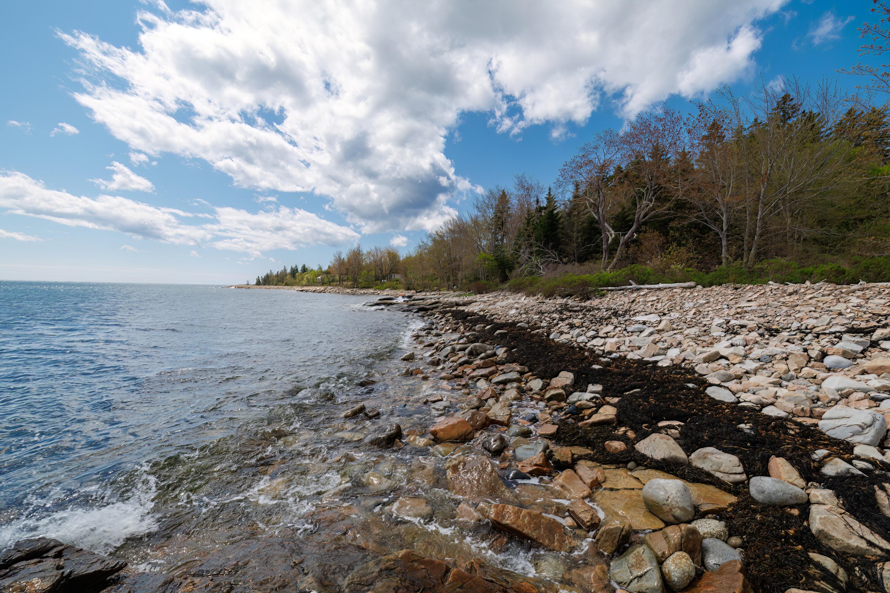 31 Clark Point Road Prospect Harbor, ME 04669 - Photo 65 of 90 76-31 Clark point Road HiRes-DTP