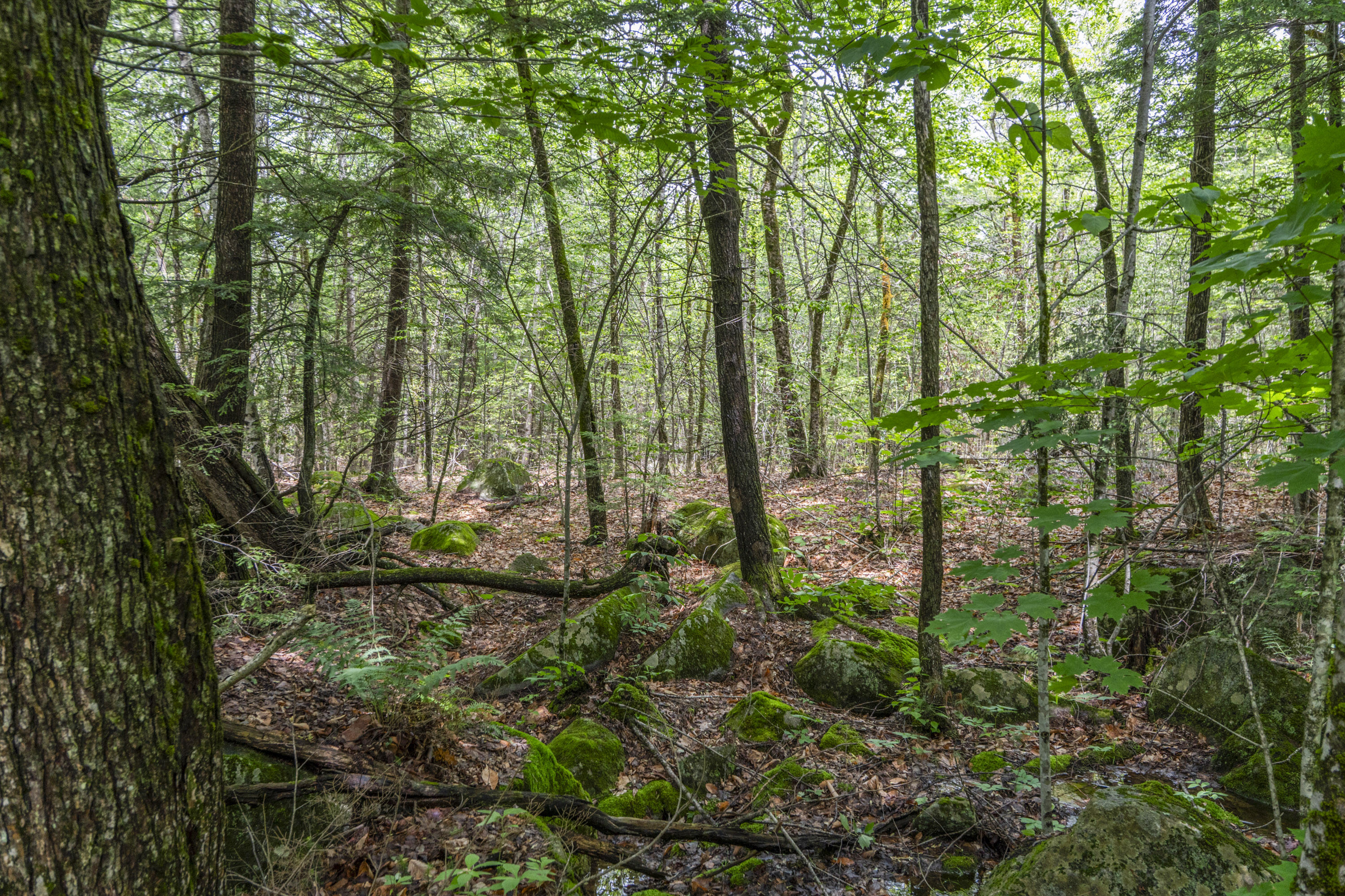 Lot17-30-1 Howland Hill Road Belgrade, ME 04917 - Photo 27 of 31