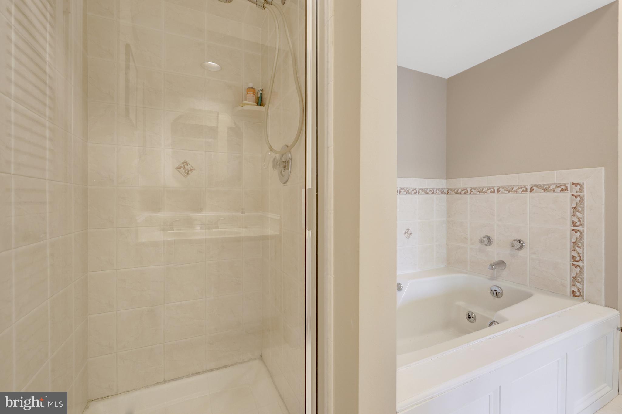 11009 Thrush Ridge Road Reston, VA 20191 - Photo 32 of 45 There is also a separate soaking tub and shower.