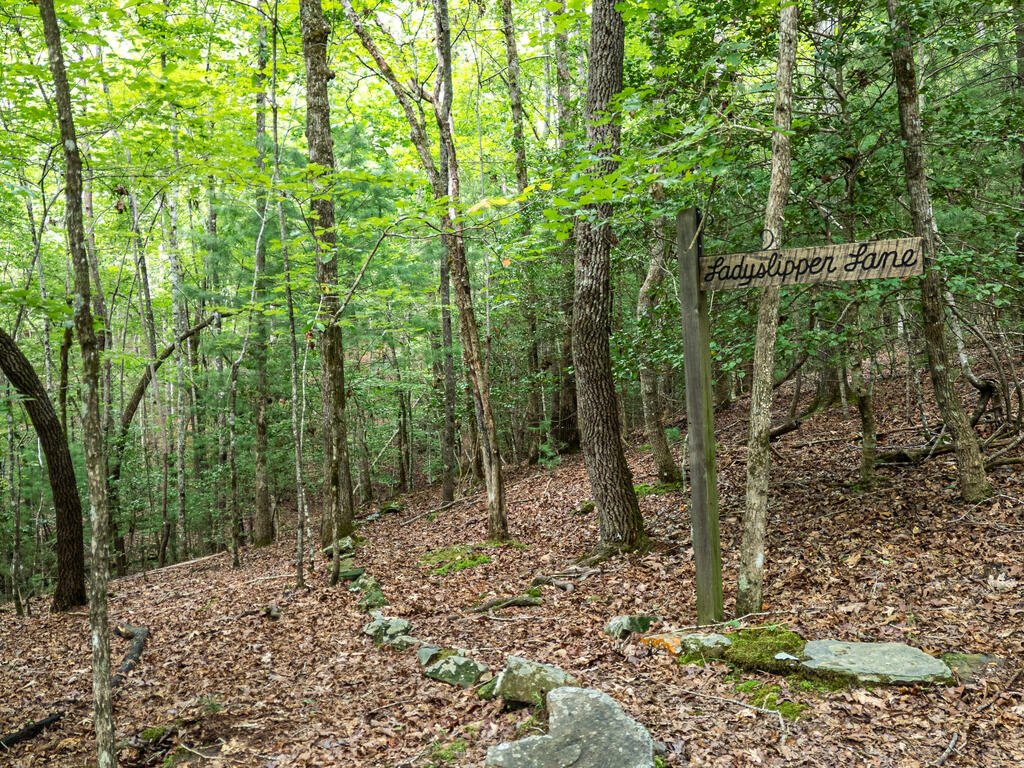 1054 Dickey Road Murphy, NC 28906 - Photo 35 of 39 Gallery Image 35