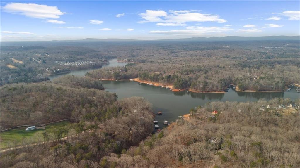 5488 Price Road Gainesville, GA 30506 - Photo 55 of 55 a view of a lake in middle of forest